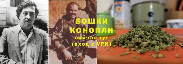 твердый Аркадак