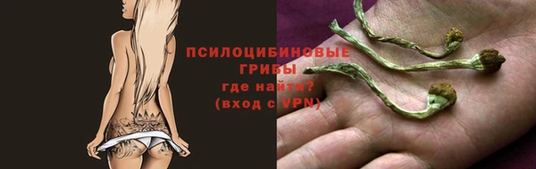твердый Аркадак