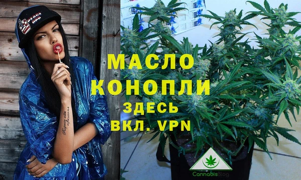 твердый Арсеньев
