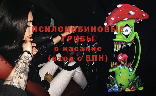 твердый Арсеньев