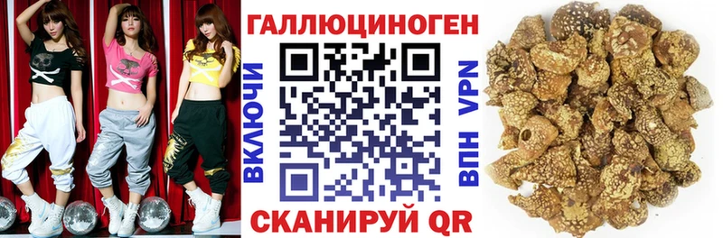 кракен сайт  Урюпинск  Псилоцибиновые грибы Psilocybe 